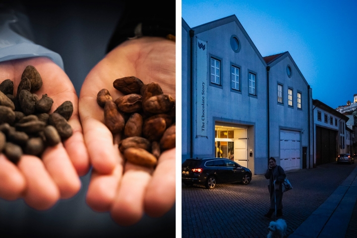 Pedro Martins Araújo mostra grãos de cacau fermentados e secos de duas origens distintas