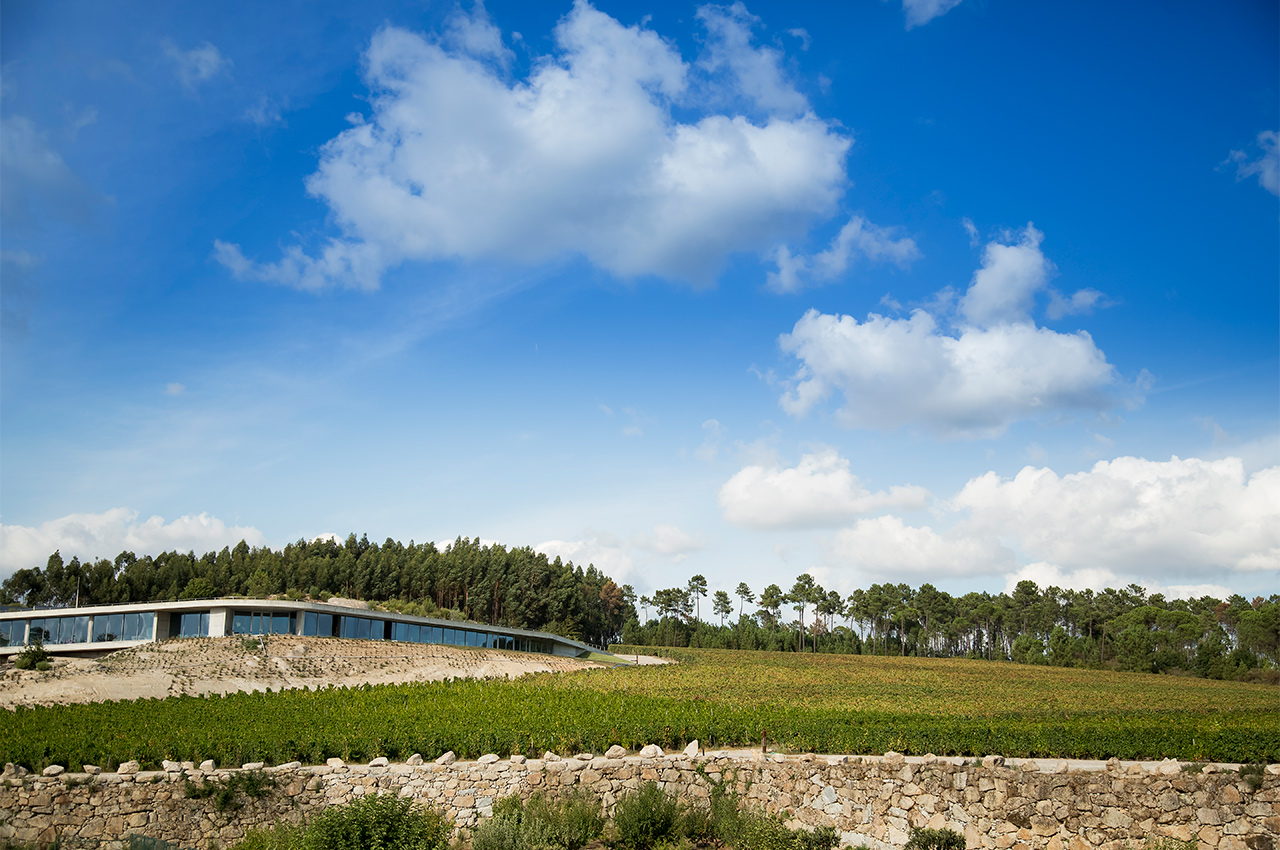É entre as serras e as vinhas que se ergue o edifício projectado pelo arquitecto Carvalho Araújo