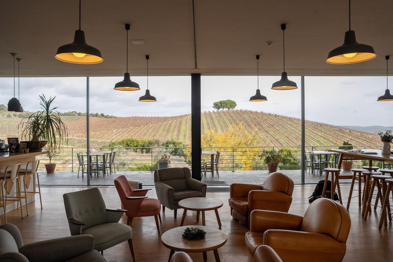 Na Quinta do Quetzal, os vinhos e as vinhas ouvem música