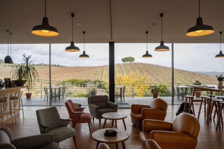 Na Quinta do Quetzal, os vinhos e as vinhas ouvem música