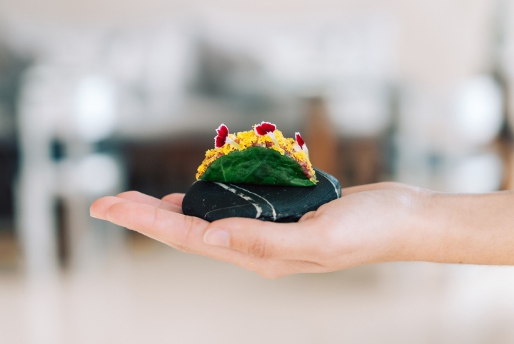 Snack de boi capado galego, capuchinhas e gema curada