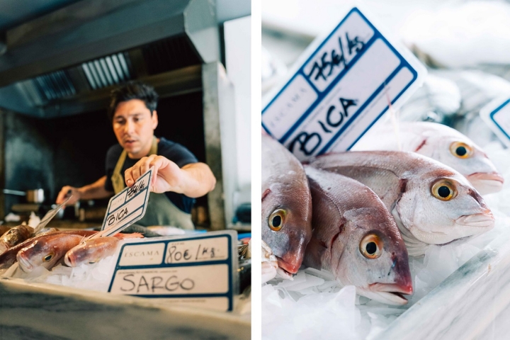 Como na praça, o peixe está numa banca, pronto para ser escolhido