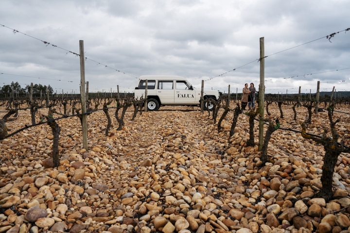 As visitas à Falua começam na Vinha do Convento, a 10 minutos de carro da adega, única no país