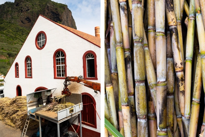 Processamento de cana-de-açúcar na Engenhos do Norte 