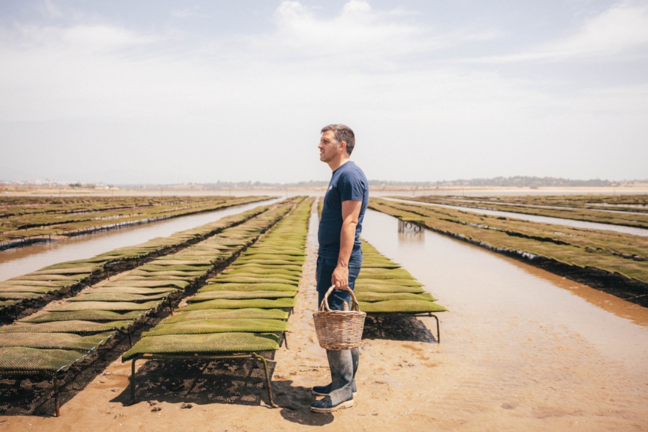 Como respeitar o ambiente a partir do restaurante? Os Sóis Sustentáveis respondem