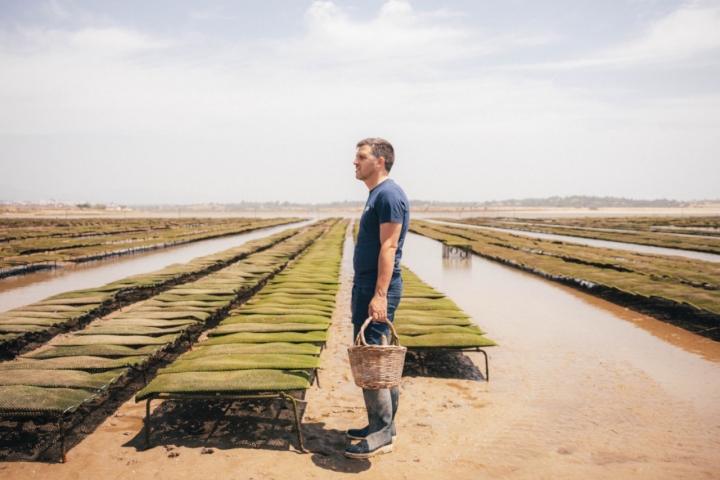 Como respeitar o ambiente a partir do restaurante? Os Sóis Sustentáveis respondem