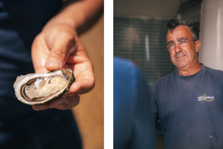 Rui Ferreira, fundador da OstraSelect, na Ria de Alvor, trabalha em colaboração com João Oliveira para fornecer ostras ao Vista (Foto: Afonso Sousa)