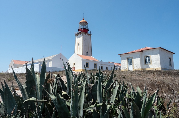 Entre as caminhadas disponíveis, se fizer o percurso da Berlenga, o mais longo, de 3,3 quilómetros, vai passar pelo planalto onde está instalado o farol