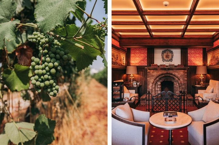 Pode fazer uma visita às vinhas e fiar a conhecer melhor os vinhos produzidos pela Casa da Calçada numa experiência que dura cerca de duas horas