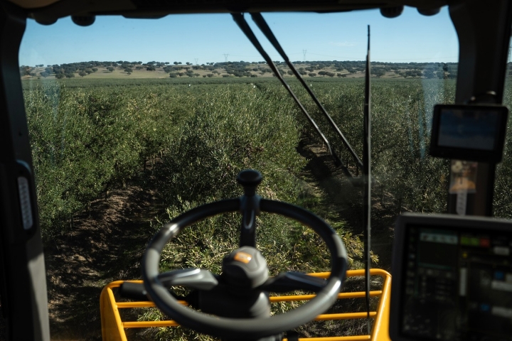 Na Casa Relvas, estar com os azeites é bom sinal 
