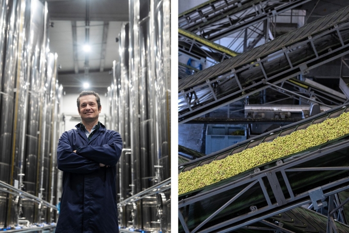 António Relvas é a quinta geração da Casa Relvas e o responsável pelo projeto do olival.