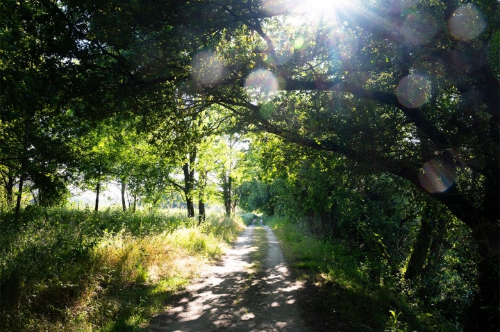 A Ecovia que passa pela Praia Fluvial Gemieira, em Ponte de Lima