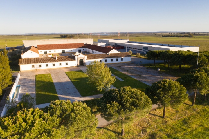 O Monte de Pinheiros é outro espaço de produção destes vinhos visitável (foto Cartuxa) 