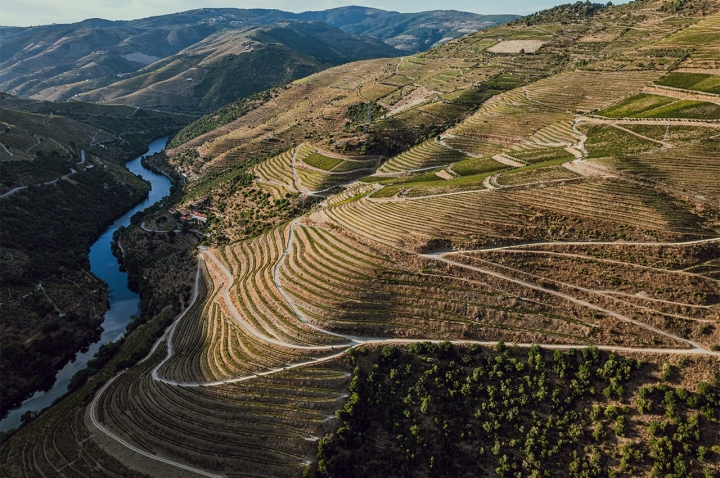 Na Quinta no Panascal, em Valença do Douro, oferece vários tipos de provas incluindo um ritual de abertura de Porto Vintage