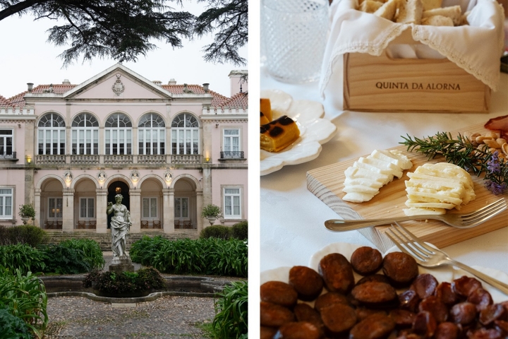 À entrada da Quinta encontra um arbusto raro no mundo, conhecido por “Bela Sombra”