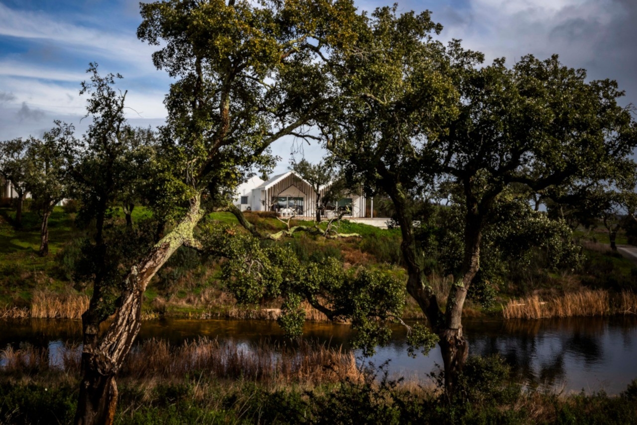 Sobreiras Alentejo Country Hotel: um refúgio de silêncio em Grândola 