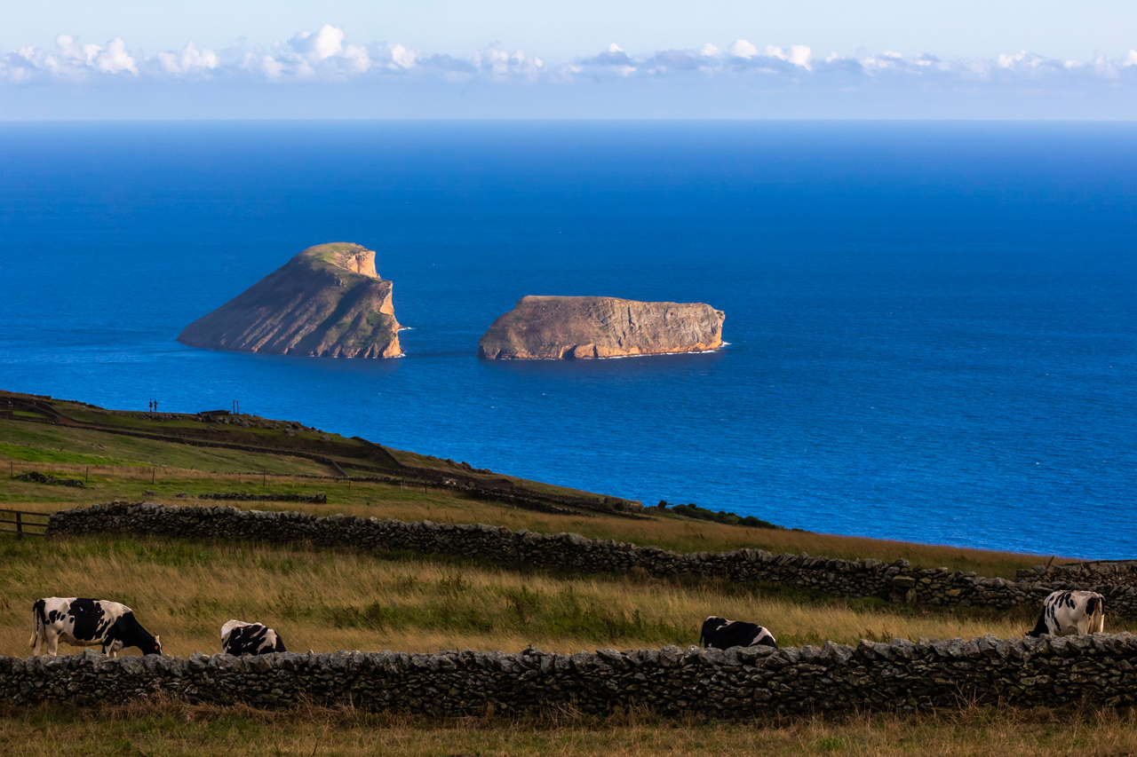O Pescador: as cataplanas do continente juntaram-se ao peixe da Terceira há 36 anos