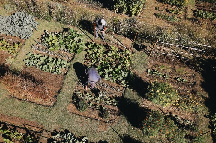 A horta fornece o restaurante, mesmo ali ao lado 