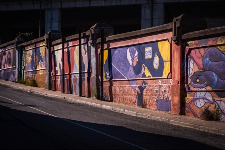 Inaugurados em 2023, os murais coletivos do antigo Matadouro do Porto são da autoria de Sphiza, BrunoAnti,  BrunaBsa, Lia Sabela, Paula Prezende, Duuub e Ines Arisca. A comunidade também se envolveu no projecto, com a participação dos alunos da Escola do Cerco 