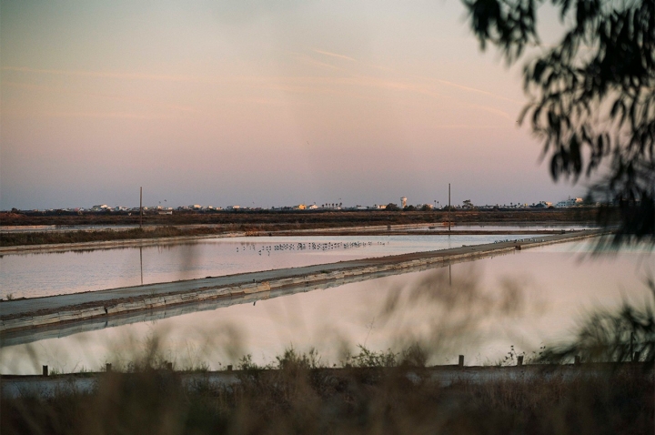 O Ludo é ideal para percorrer a pé ou de bicicleta 