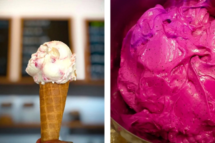 Os gelados artesanais do Gula Food Lab (©Gula Food Lab)