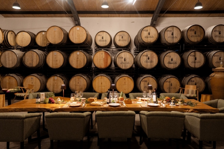 Com restaurantes, arte, ruínas romanas e até safaris, o vinho pode parecer só mais um pretexto para descobrir estas herdades no Alentejo. Um excelente pretexto.