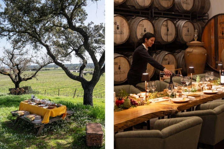 Na Vidigueira fazem-se safaris fotográficos e jantares vínicos (foto Ana Brígida) 