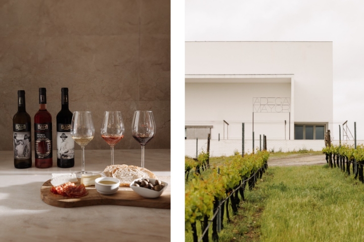 Na adega com arquitetura de Álvaro Siza Vieira fazem-se as provas dos vinhos Adega Mayor (foto©AdegaMayor) 