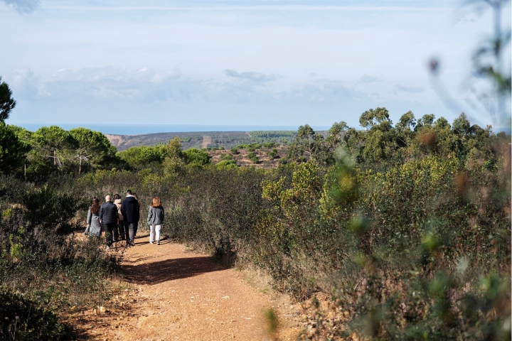 Há vários trilhos que podem ser feitos a partir do hotel