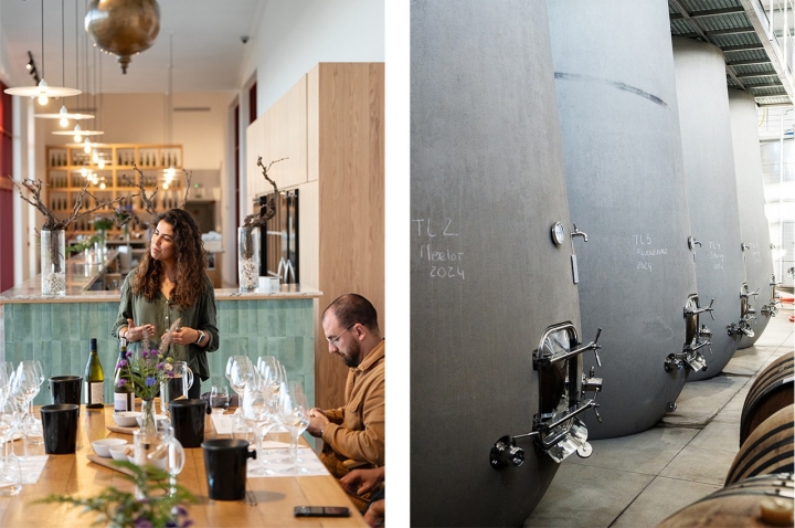 A nova Adega Vicentino foi inaugurada no final de 2024. As provas começam nos 20 euros