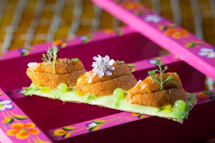 Tosta de erizos y aguacate del nuevo restaurante mexicano de Albert Adrià, 'Hoja Santa'. Foto: cedida.