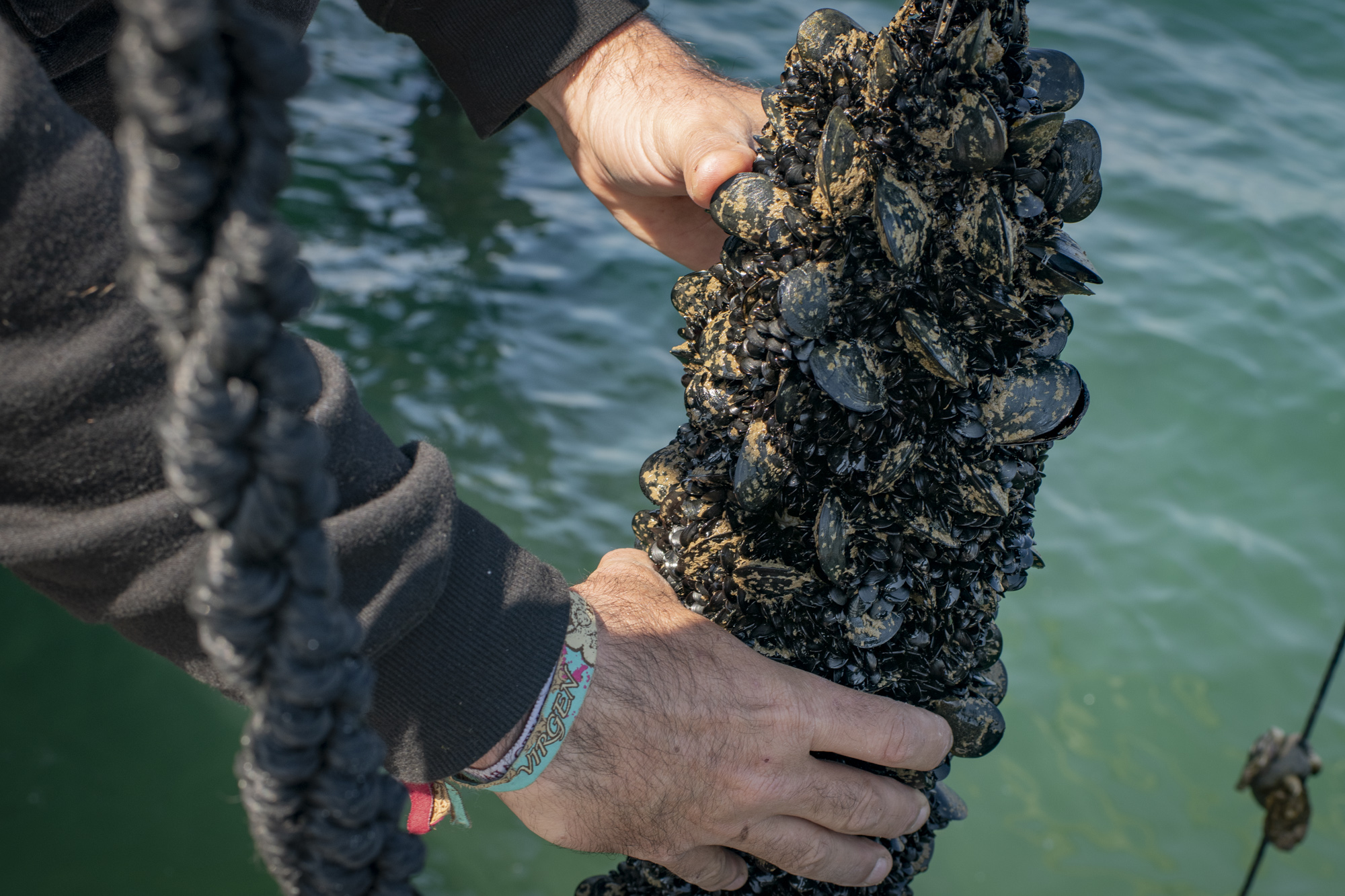 Degustación de ostras y mejillones en una batea