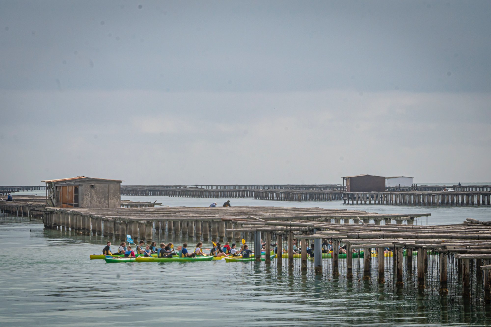 Bateas en el Bahía de los Alfaques (Delta del Ebro)