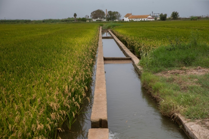 Albufera de Valencia