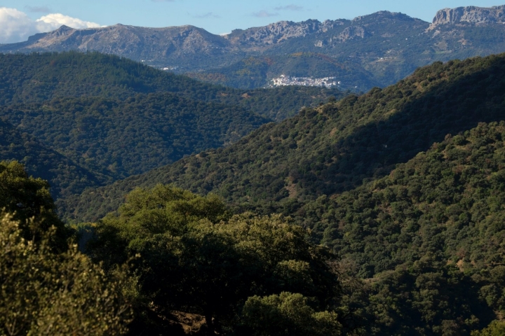 Vistas del valle del Genal.