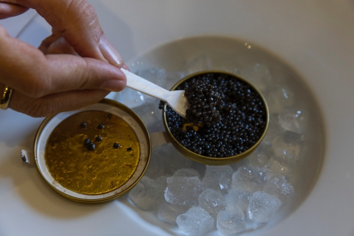 Lo mejor es comer el caviar con una cucharita de concha o sobre la mano.