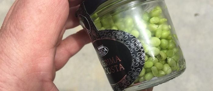 Bote de guisantes lágrima. Foto: Hasier Etxeberria.