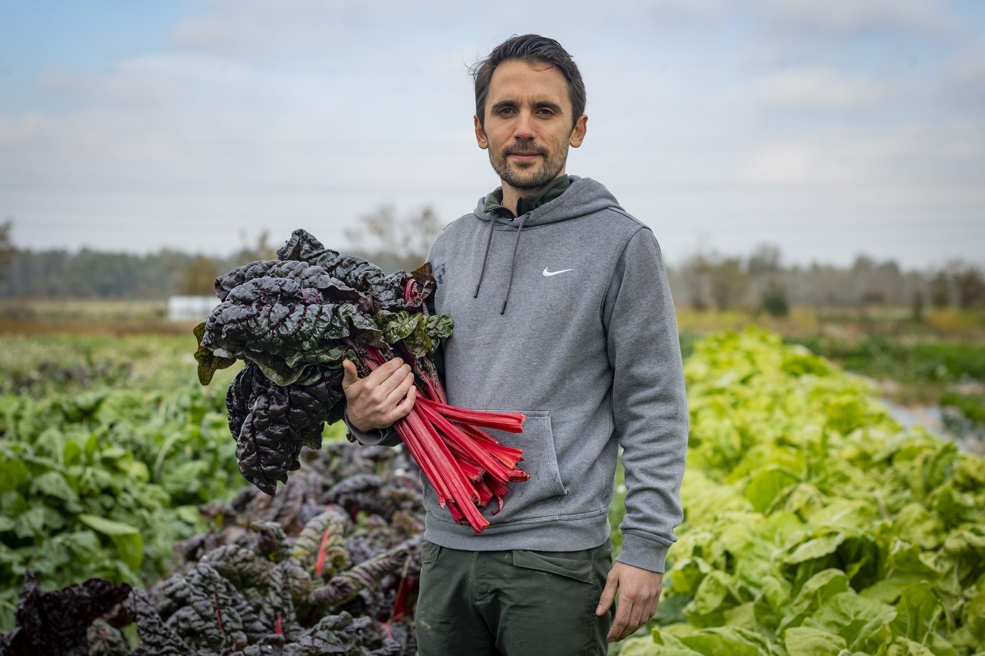 Huerta Sapiens Madrid apertura hortelano