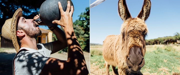 Bebemos del 'cantir' a lo payés: 'a galet' (a chorro) y saludamos al burro Domingo.