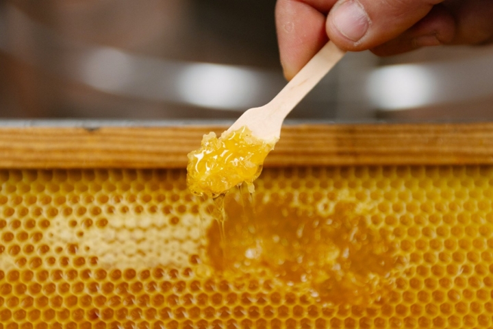 Miel de eucalipto de Mieles Olaya (Aller, Asturias)