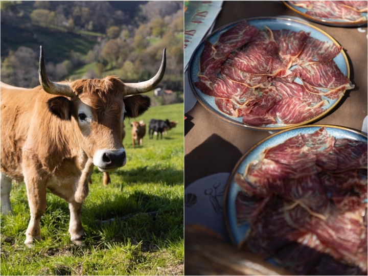 Bueyes de Suárez Cabrera y cecina