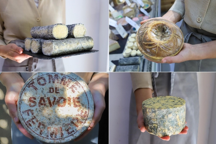 Se pueden encontrar variedades de quesos como 'Sugaar', 'Tronchon', 'Tomme de Savoie' o 'Savel'.
