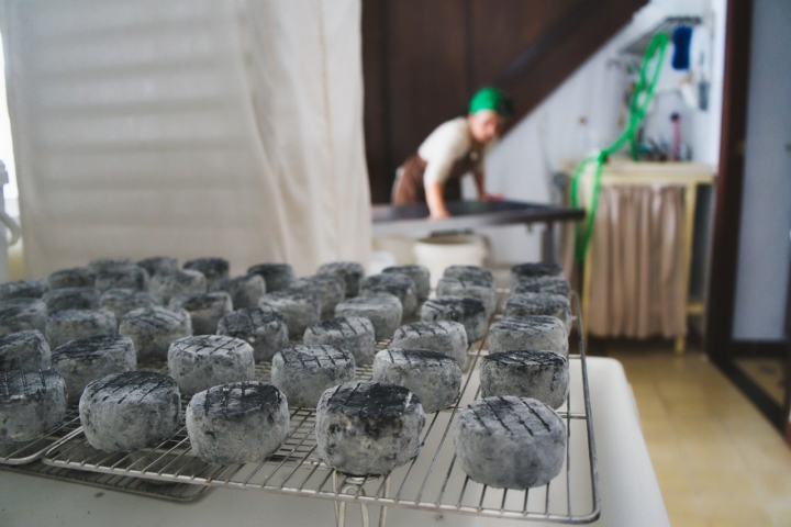 Quesería Jarropa y Sita jabaínos en bandeja