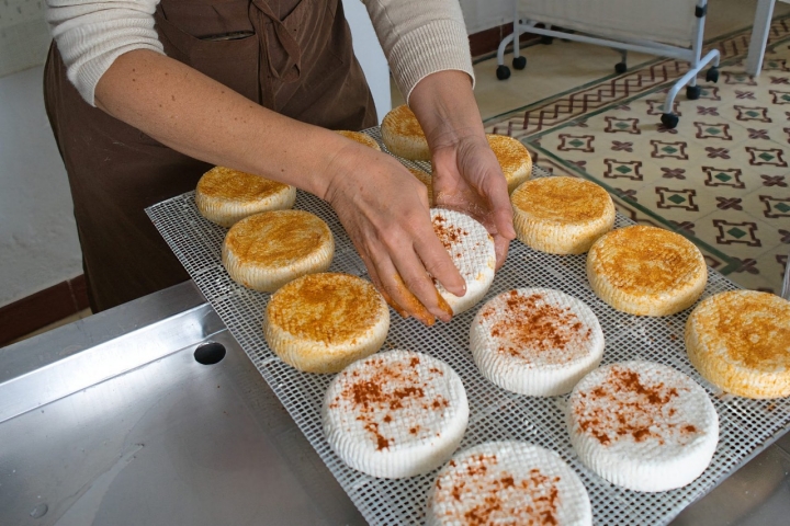 Quesería Jarropa y Sita Candela