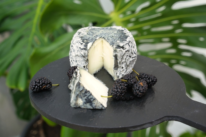 Quesería Jarropa y Sita queso abierto