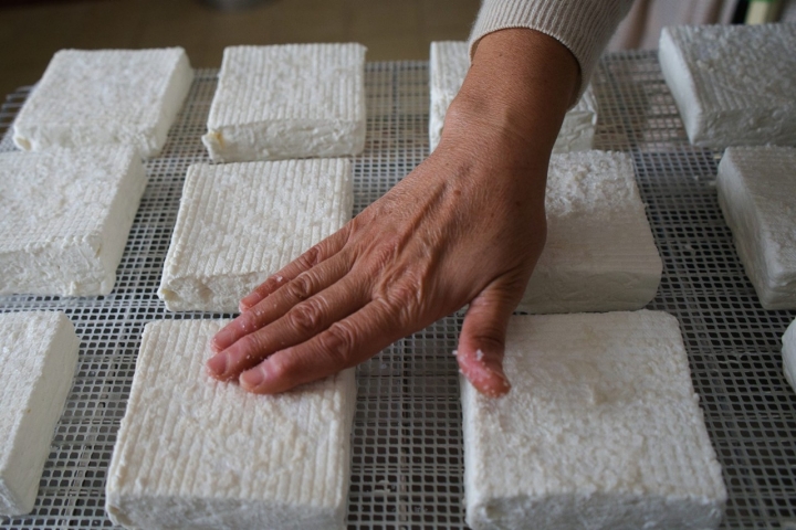 Quesería Jarropa y Sita mano en queso