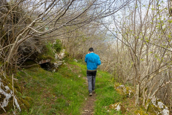 Queseria Los Puertos Asturias camino