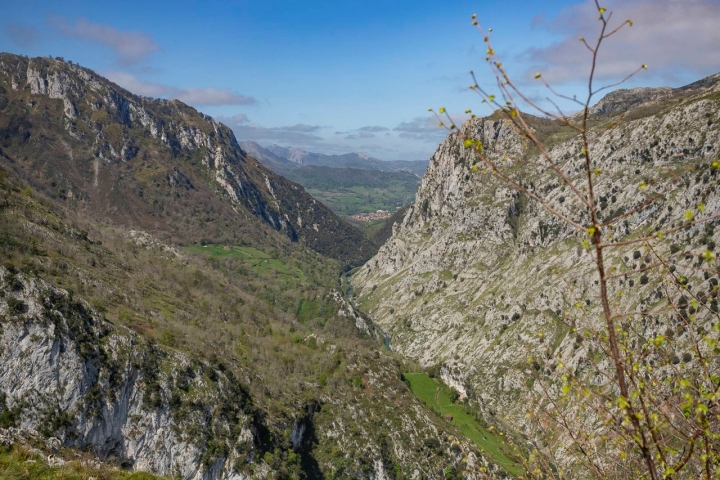 Quesería Los Puertos valle