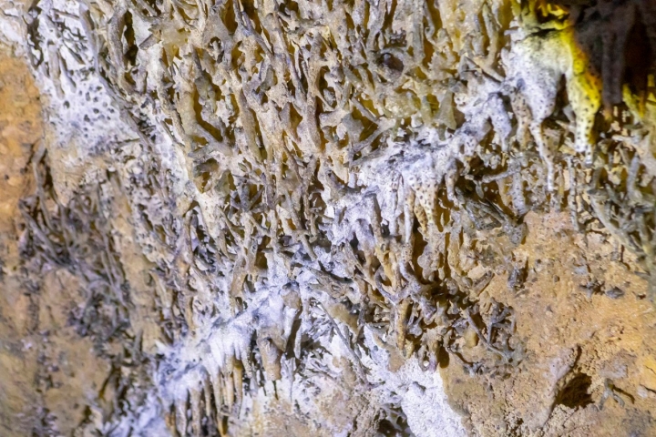 Quesería Los Puertos excéntricas 