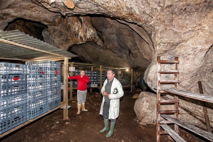 Luis Alberto Alles y Tomás Cabeza (hijo), en el interior de La Sotorraña, cueva que comparten ambas queserías.